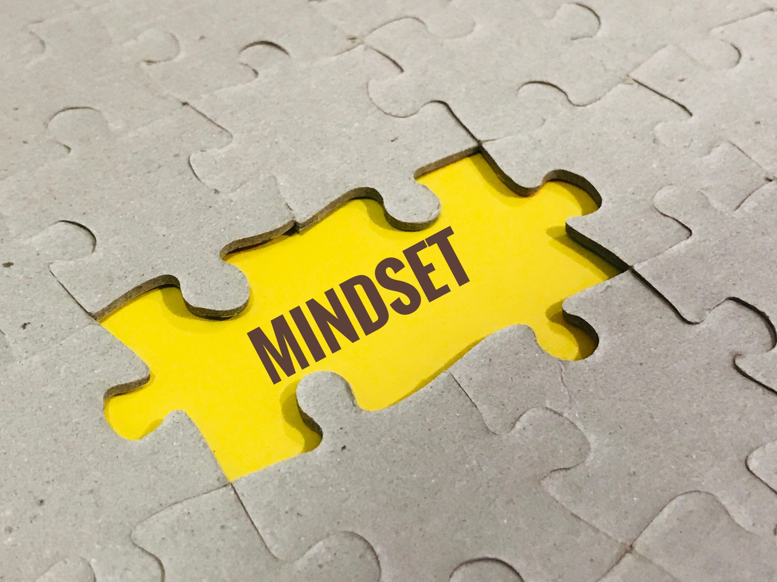 EL PODER DEL MINDSET DE CRECIMIENTO EN EMPRESAS DE SERVICIOS PROFESIONALES